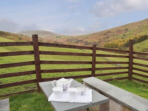 Une table avec une théière et des tasses, disposées sur un set de table, donnant sur un paysage verdoyant bordé d’une clôture en bois.