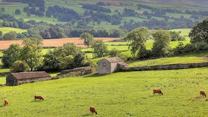 Paisagem rural com campos verdes, um muro de pedra e um pequeno edifício.