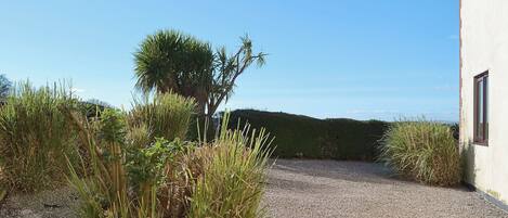 Área da propriedade