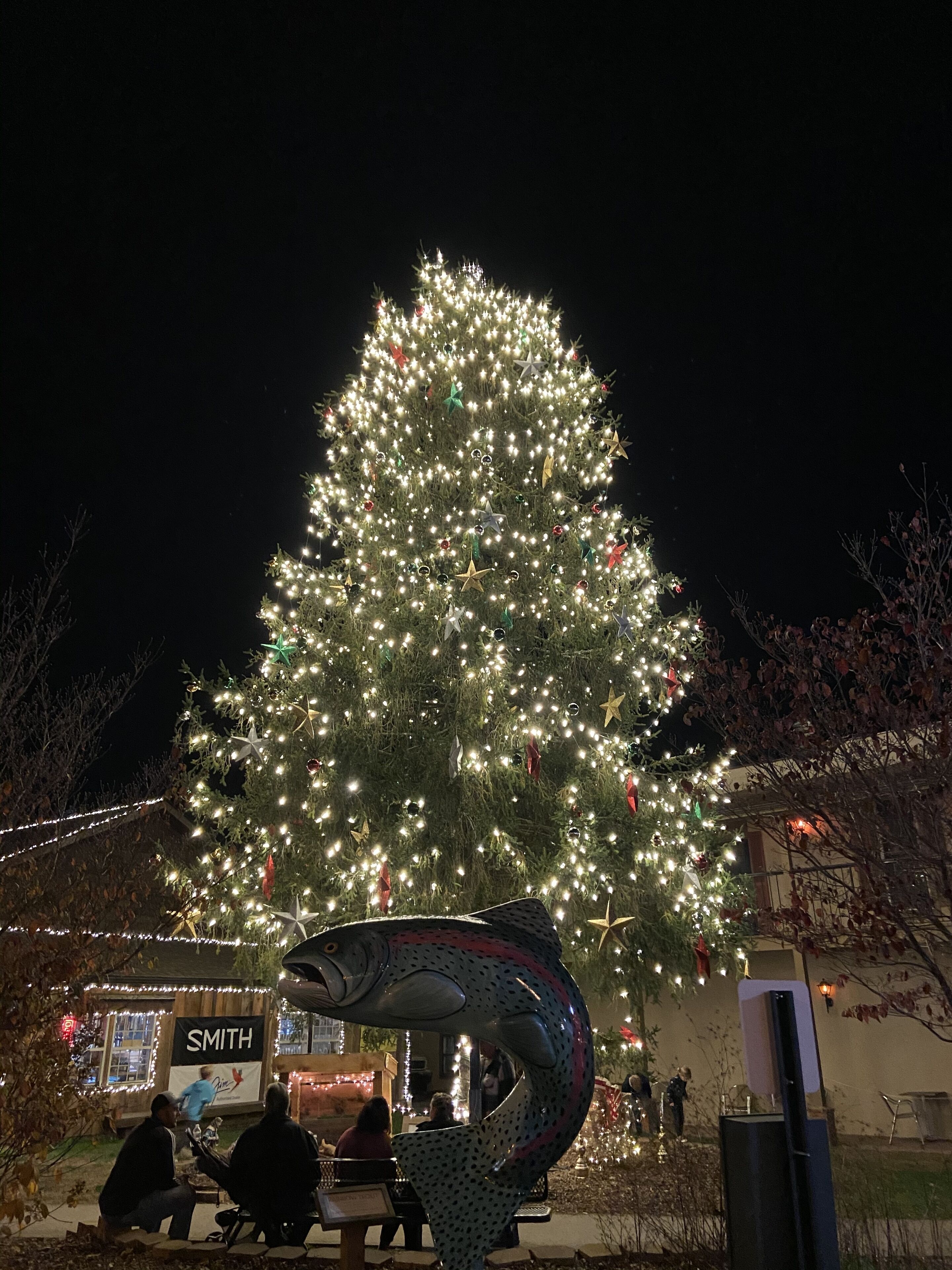 A large illuminated Christmas tree with a metal sculpture in the foreground.