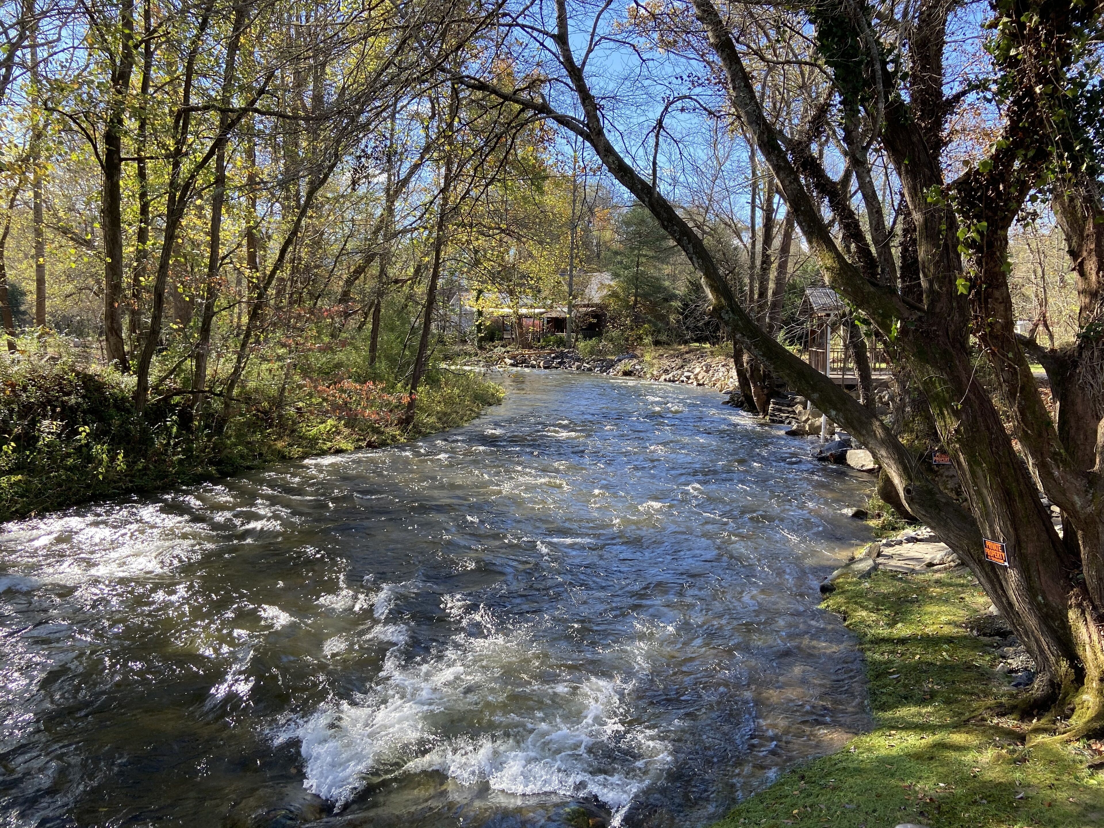 A river flowing through a forested area with trees and a small building in the background.
