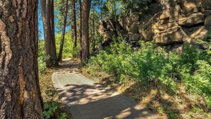 Un sendero pavimentado que atraviesa un área boscosa con árboles altos y afloramientos rocosos.