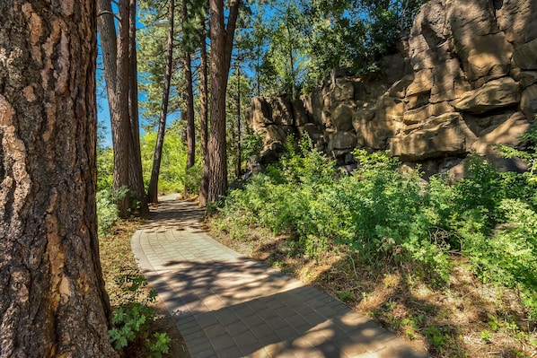 Stroll through the serene natural surroundings, surrounded by tall trees and rocky terrain, along a well-maintained walking path.