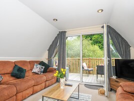 村舍 | 起居区 | 电视、游戏机、DVD 播放器