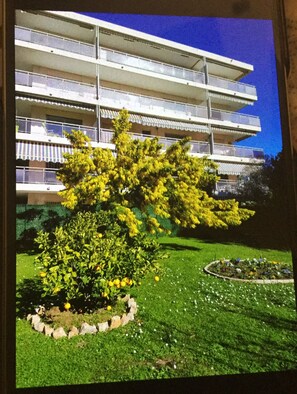 Exterior - Apartment Grande Terrasse Cannes (Cannes)