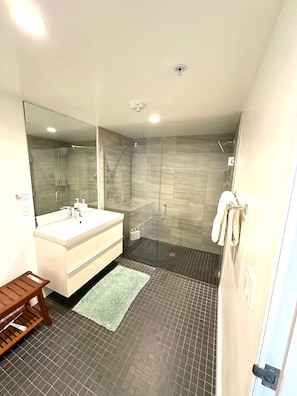 Shower, hair dryer, towels, soap