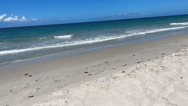 Una playa con agua azul cristalina y una orilla arenosa.