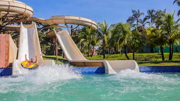 Enjoy thrilling water slides surrounded by lush palm trees.