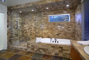 Combined shower/tub, hair dryer