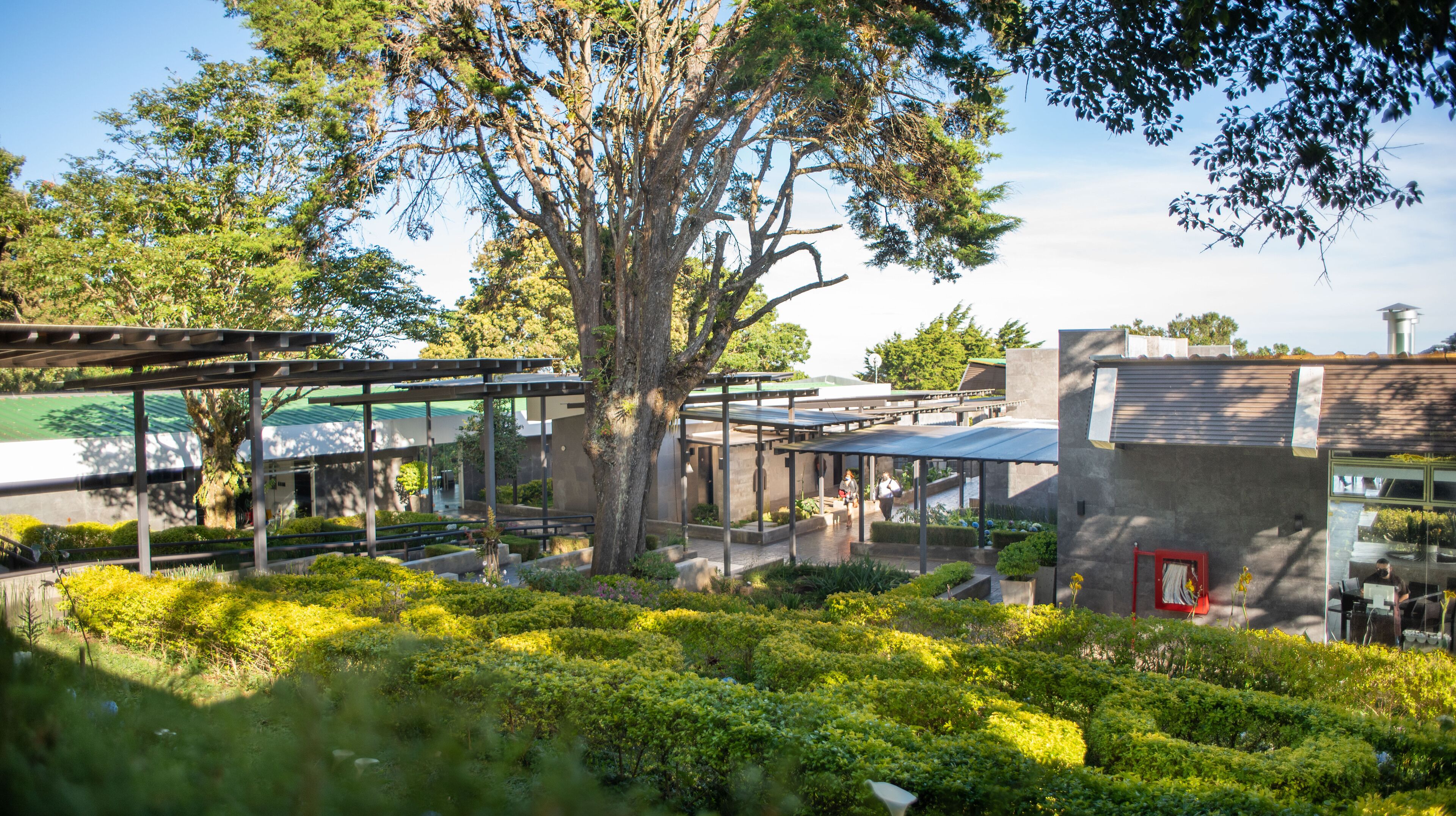 A courtyard with a large tree, covered seating areas, and a building with a red door.