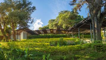Un espacio al aire libre cubierto con jardín, árboles y un edificio al fondo.