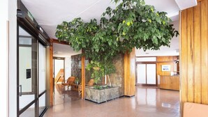 Lobby - Home2Book SeaFront Studio Punta del Hidalgo (Punta del Hidalgo)