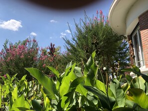 Exterior detail - Gite art Déco 5 Chambres Piscine et Tennis Partagés (Labouheyre)