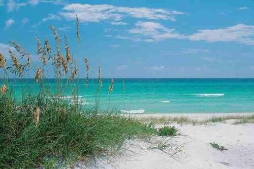 🦩Book Me Baby! Bluefish is The New Fish...Okaloosa Island🦩