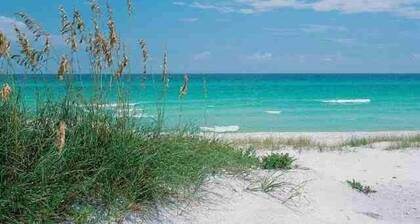🦩Book Me Baby! Bluefish is The New Fish...Okaloosa Island🦩