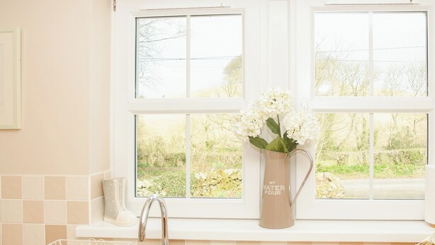 A kitchen with a sink, a vase with flowers, and a window with a view of greenery. - Single storey cottage for 4/6 in Twynholm only 3 miles from Kirkcudbright. (Twynholm by Kirkcudbright)