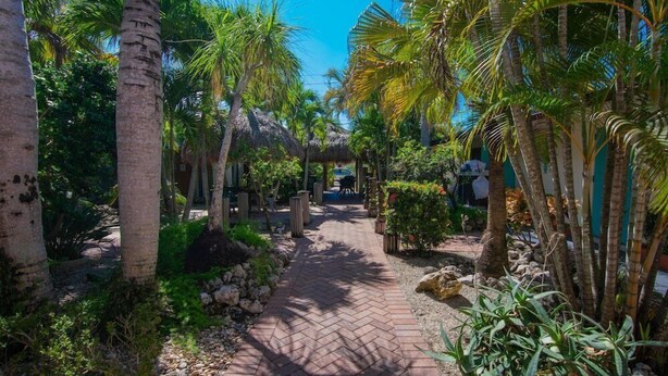 A paved pathway flanked by palm trees and tropical plants, leading to a building with a thatched roof.