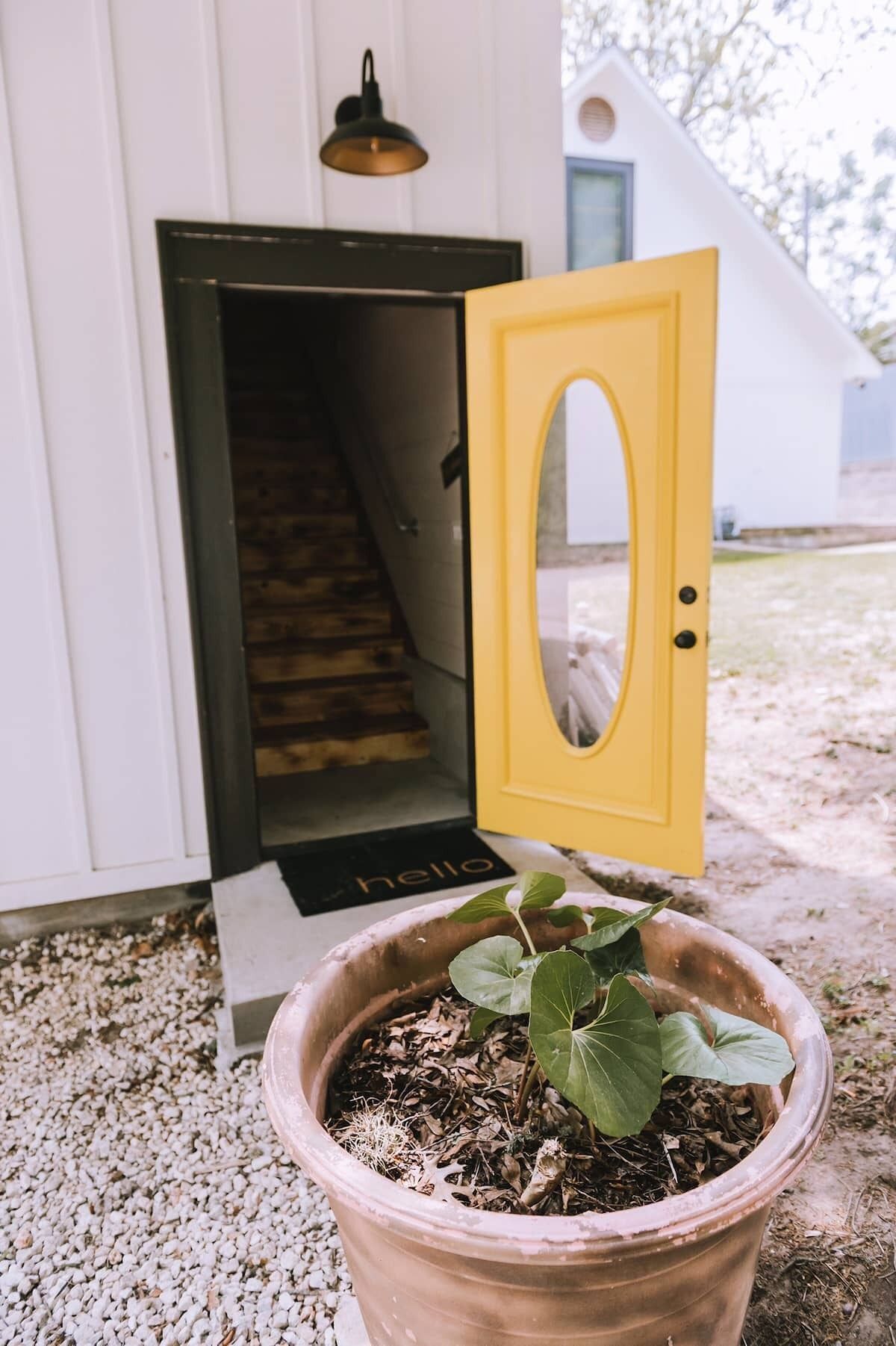 A white building with a yellow door and a potted plant in front.
