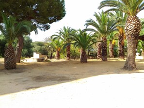 Property grounds - Residence Villa Margherita (Agrigento)