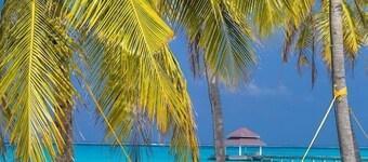 Hondaafushi Island Resort