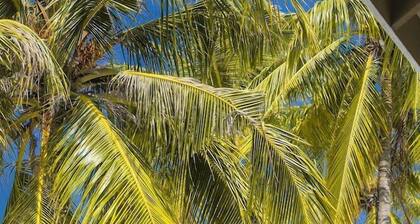 Hondaafushi Island Resort