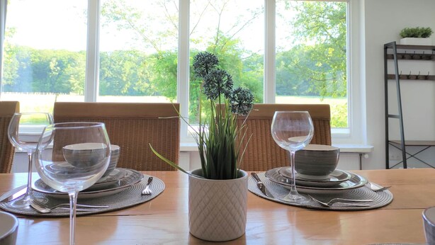 Une table à manger dressée avec des assiettes, des couverts et des verres à vin, et une plante en pot placée au centre.