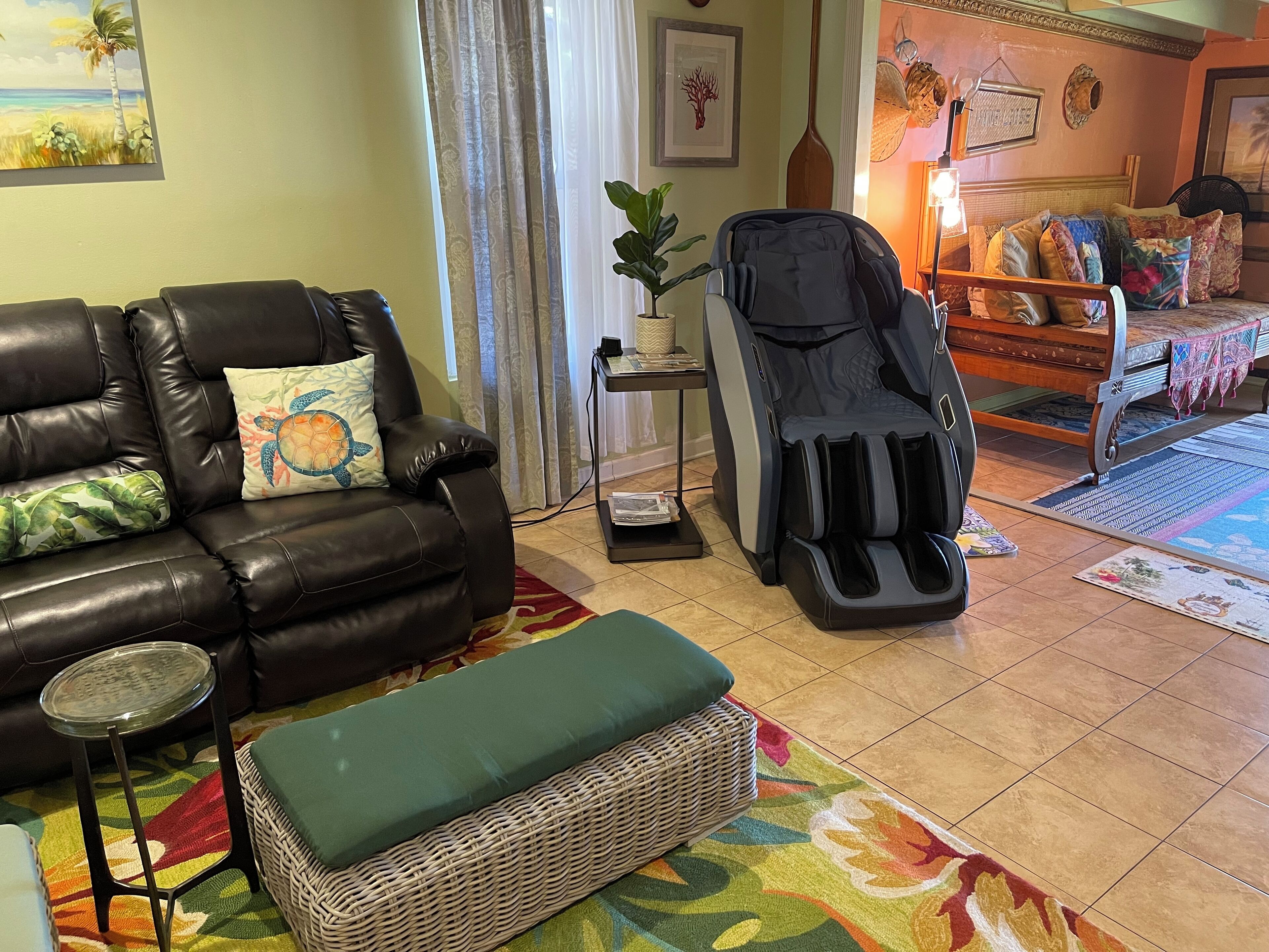 Smart TV, DVD player, books, video library