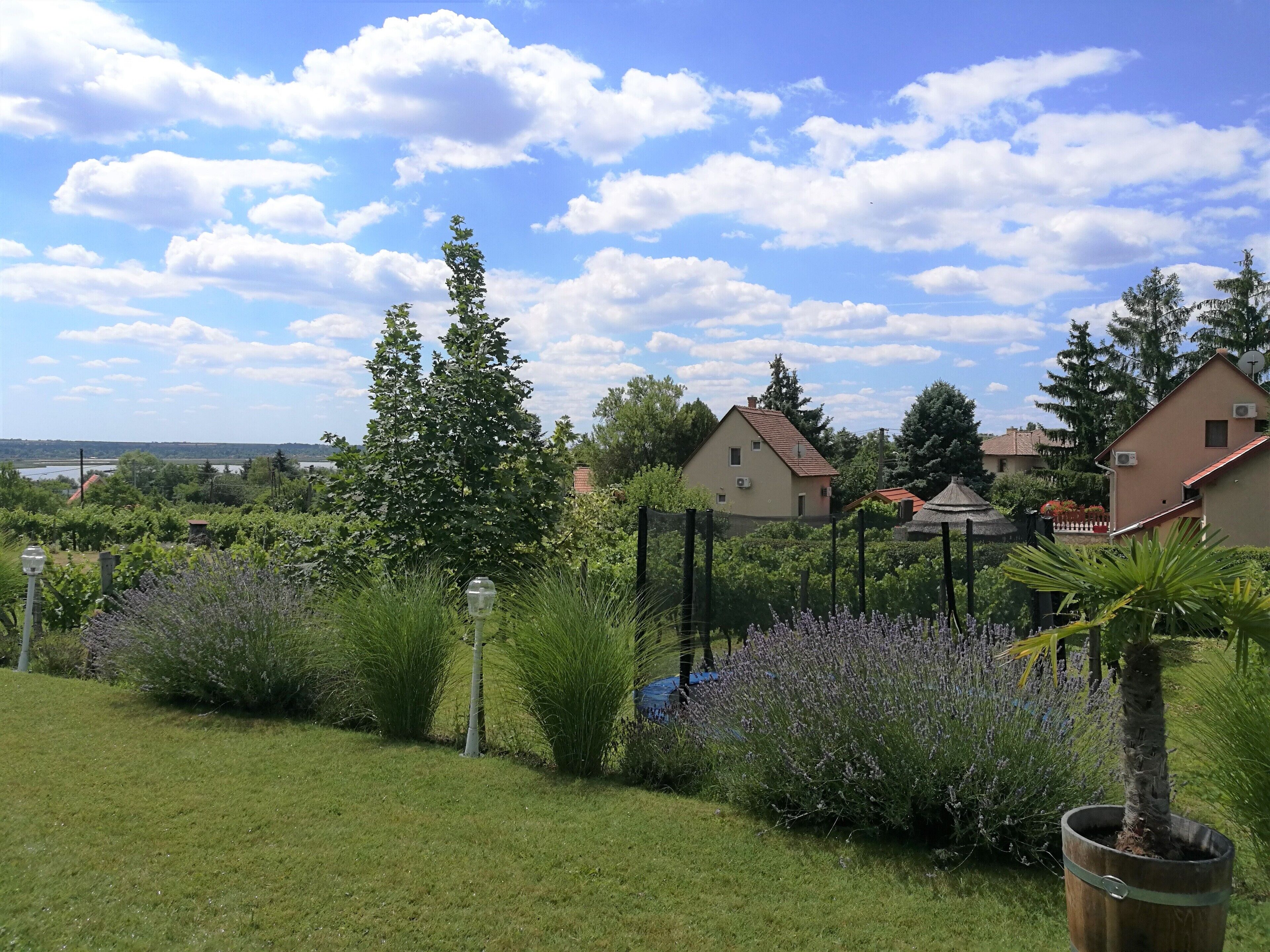 Jardines del alojamiento