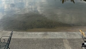 Una tranquilla passeggiata sul lungomare con barche ormeggiate al molo, una piccola imbarcazione in lontananza e uno yacht attraccato.