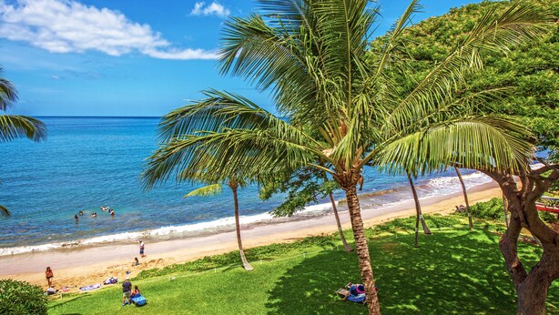 A beach with palm trees, a clear blue sky, and the ocean. - Kealia 406 Oceanview Condo on Splendid Sugar Beach and Stroll the Beach (Kihei)