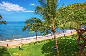 Une plage bordée de palmiers, un ciel bleu azur et l’océan.