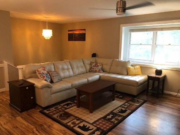 Smart TV, fireplace, DVD player, books