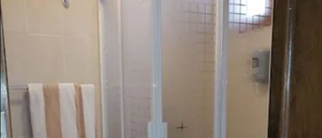 A bathroom with a glass-enclosed shower, a toilet, and a sink.
