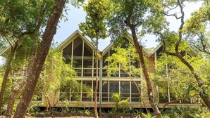 Een groot, meerhoog gebouw met een symmetrische gevel, omgeven door dichte bomen en een bosgrond bedekt met droge bladeren.