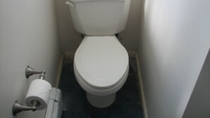 Un WC standard bianco con serbatoio e copriwater, un porta carta igienica e un pavimento piastrellato nero.