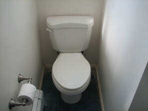 Combined shower/bathtub, towels, soap, toilet paper - Walk to Beach. Private Nature and Bird Watching Trail. Quiet. (Newbury)