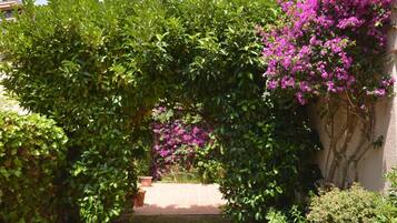 Terrein van de accommodatie