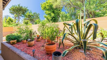 Jardines del alojamiento