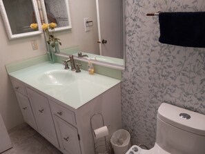 Duschwanne, Bidet, Handtücher, Seife