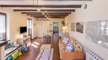 Televisor, llar de foc, reproductor de DVD i estèreo