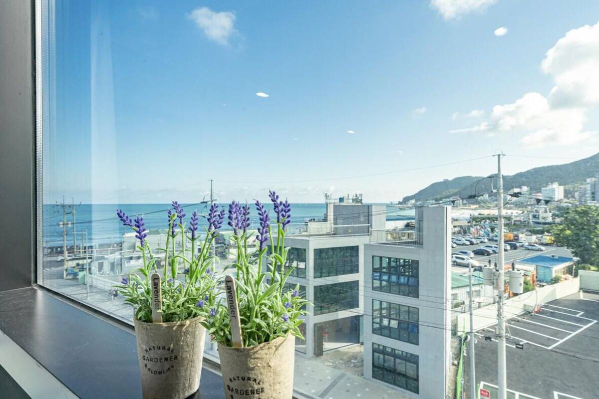 A view from a window with lavender plants, overlooking a cityscape with modern buildings and a clear sky.
