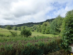 Property grounds - Ferienwohnung Am Lindenrain (Mossautal)