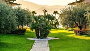 A pathway leading to a building surrounded by well-maintained greenery and palm trees.