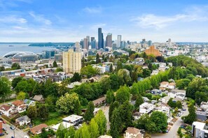 Aerial view - Epicurean remodel in central location (Seattle)