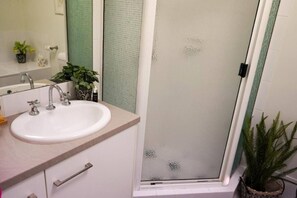 Shower, hair dryer, towels