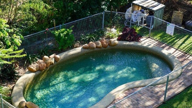 A small, oval-shaped swimming pool with a stone border, surrounded by a metal fence and lush greenery.