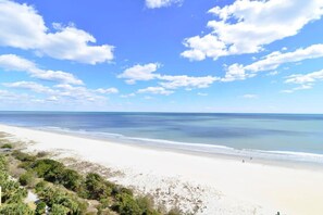 Beach nearby, sun loungers - Ocean View Style at Kingston Top Location w Pool (Myrtle Beach)