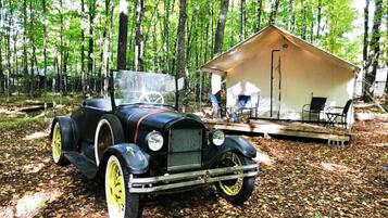 Enceinte de l’hébergement