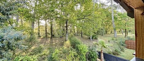 Àrea exterior de l'allotjament