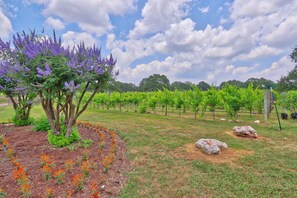 Property grounds - Fall Creek Vineyards Chardonnay Room (Driftwood)